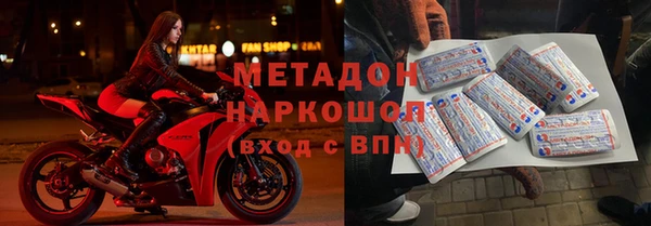 сатива Алзамай
