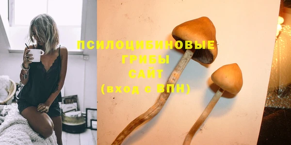 стафф Новокубанск
