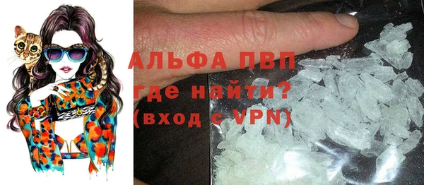 сатива Алзамай